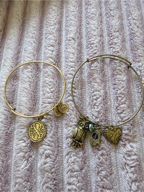 Alex and Ani Gold Tone Charm Bangle Bracelets with Owl, Hamsa & Heart